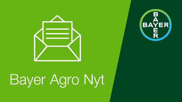 Ikon til tilmelding til nyhedsbrev